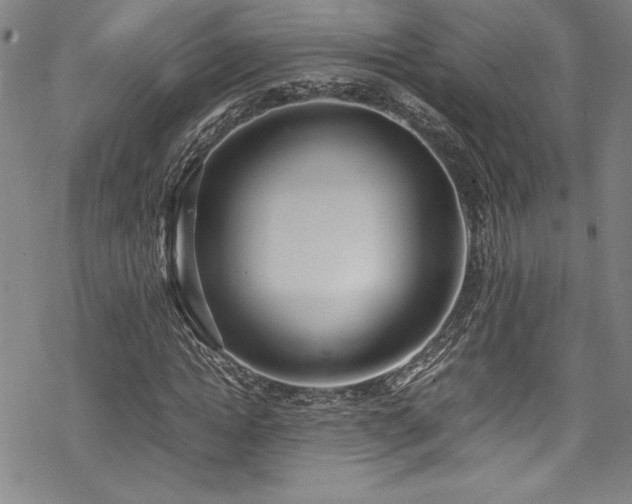 X0000069390822200605121209