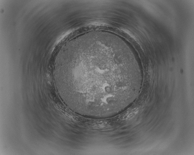 X0000069390823200605121209