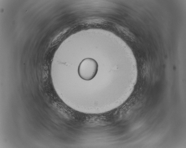 X0000069390824200605121209