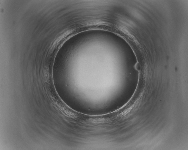 X0000069390825200605121209