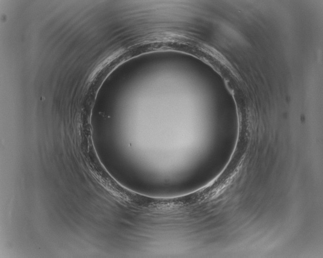 X0000069390826200605121209