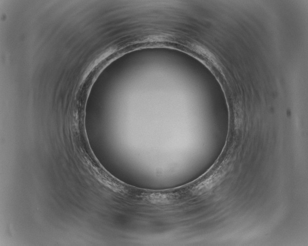 X0000069390827200605121209