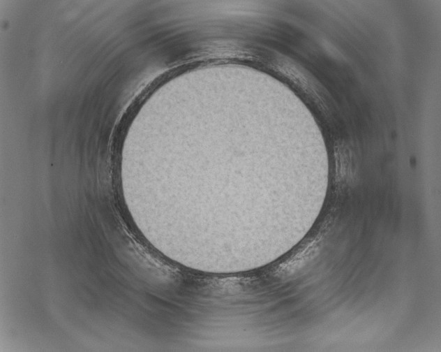 X0000069390828200605121209