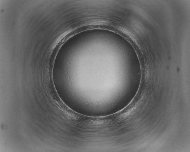 X0000069390829200605121209