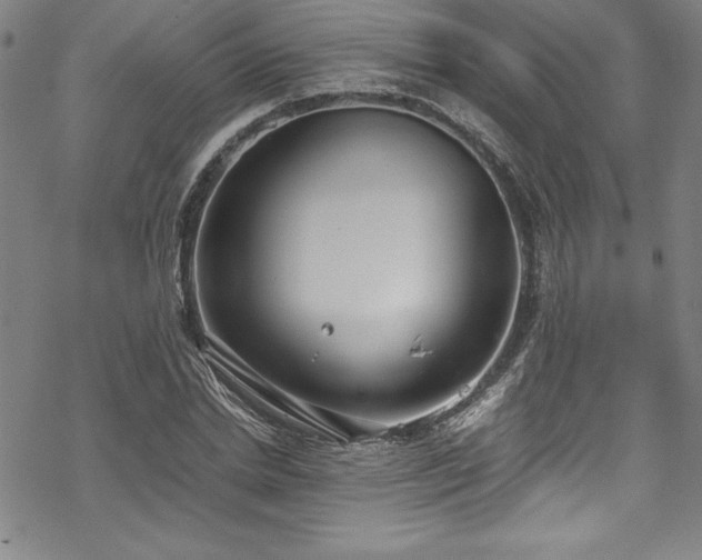 X0000069390830200605121209