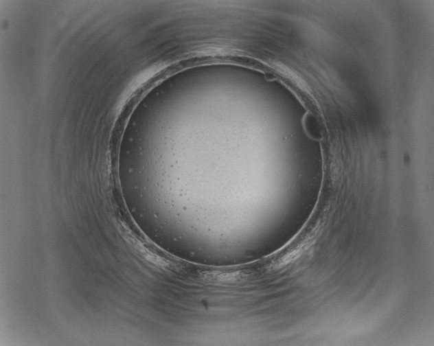 X0000069390831200605121209