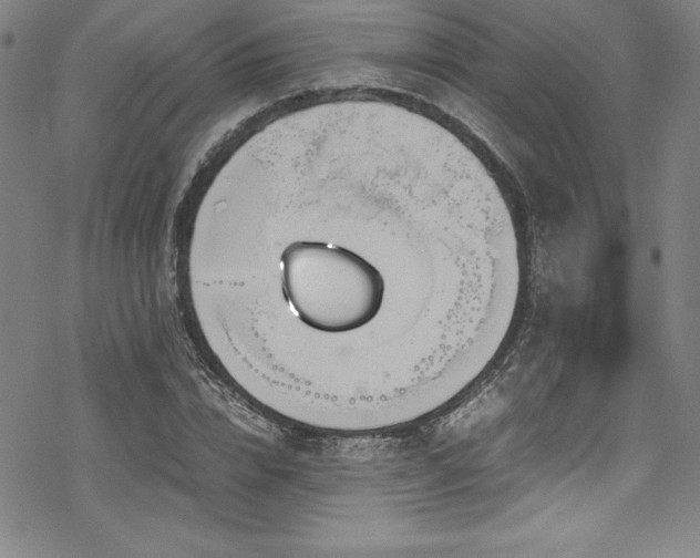 X0000069390832200605121209