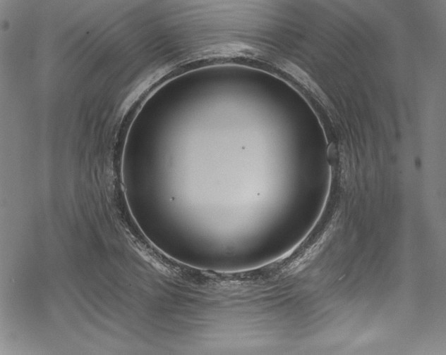 X0000069390834200605121209