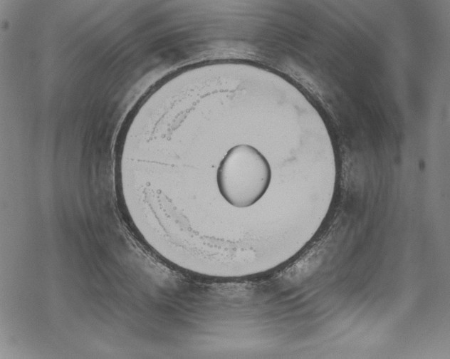 X0000069390836200605121209