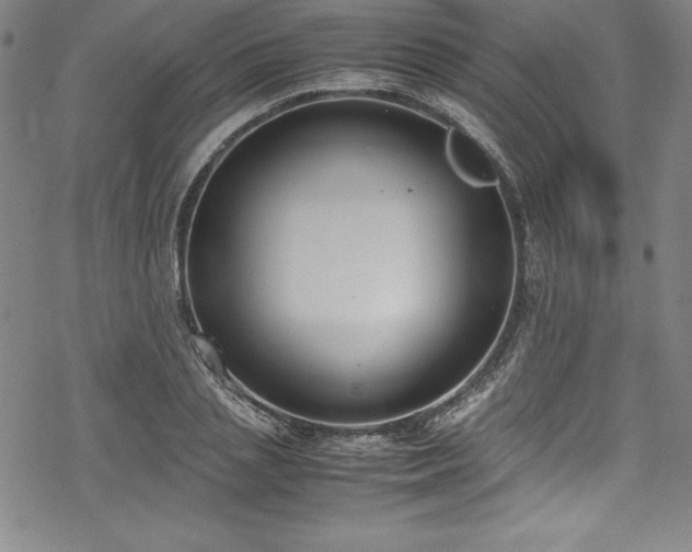 X0000069390837200605121209