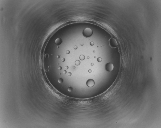 X0000069390839200605121209