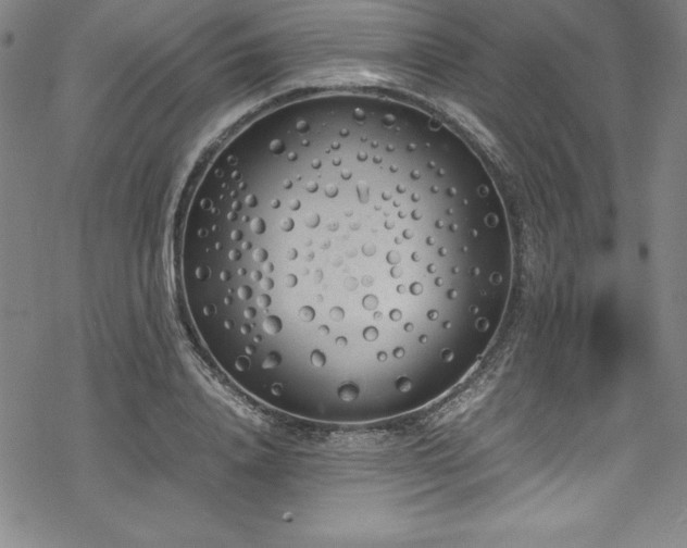 X0000069390840200605121209