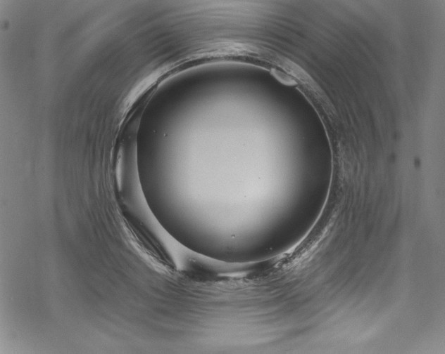 X0000069390842200605121209