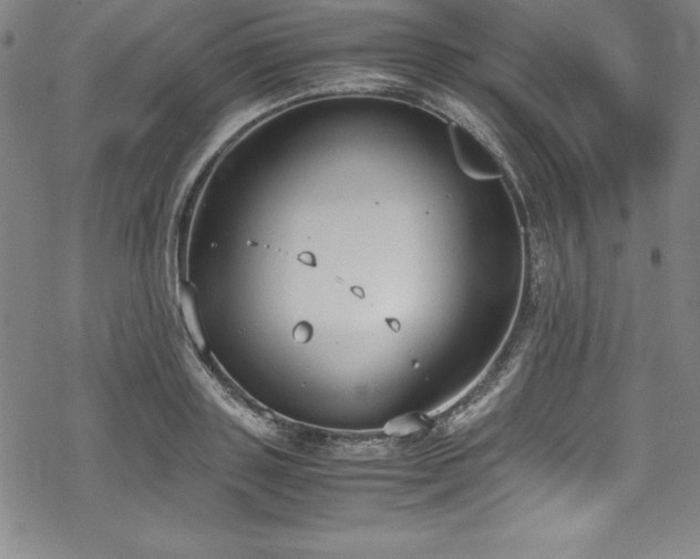 X0000069390843200605121209