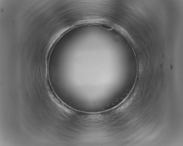 X0000069390844200605121209