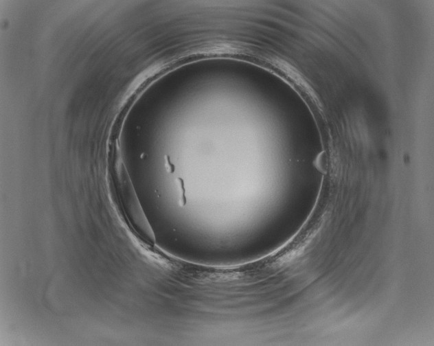 X0000069390845200605121209