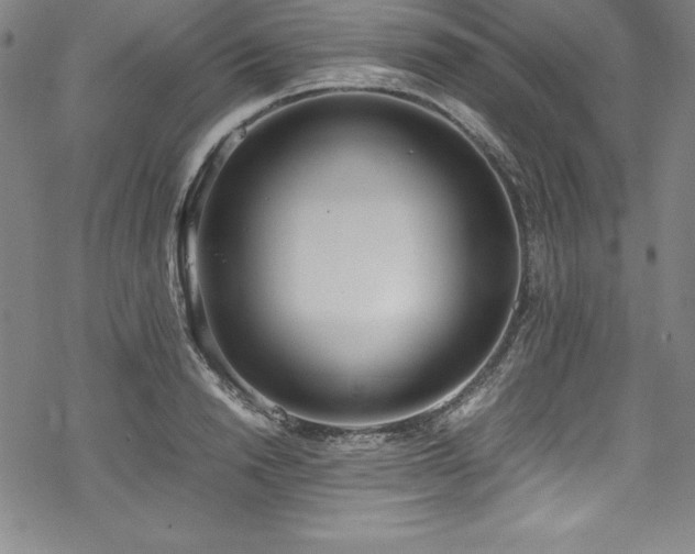 X0000069390846200605121209