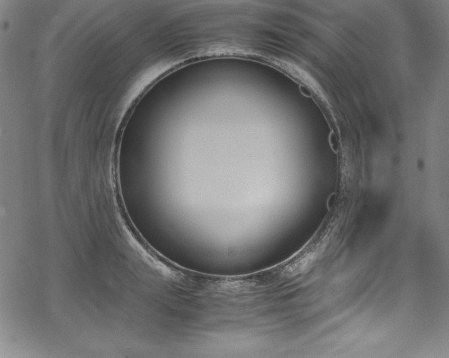 X0000069390847200605121209