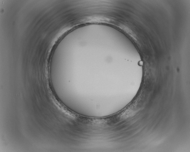 X0000069390848200605121209