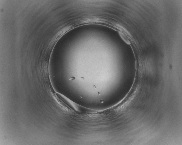 X0000069390849200605121209