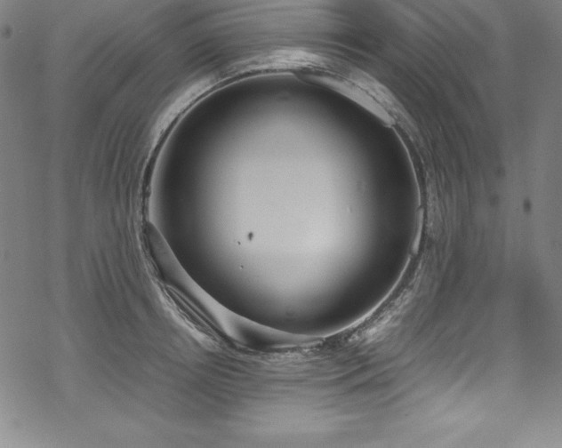 X0000069390850200605121209