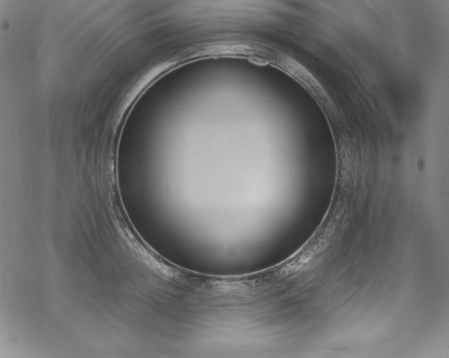 X0000069390852200605121209