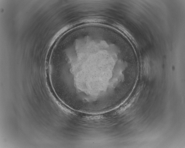 X0000069390853200605121209