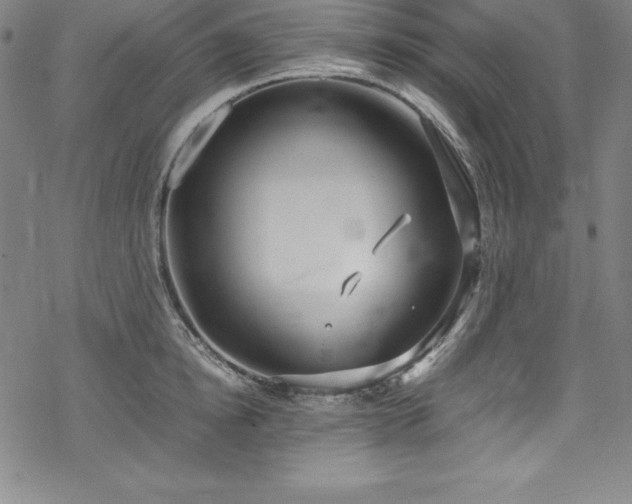 X0000069390854200605121209