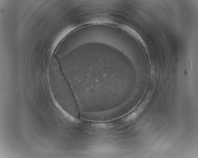 X0000069390855200605121209