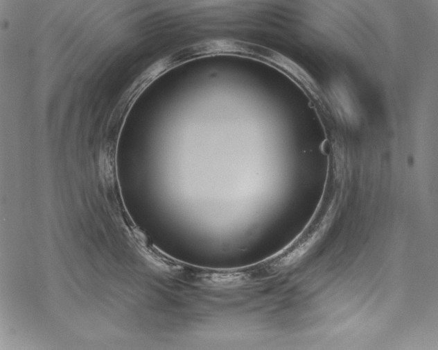 X0000069390857200605121209