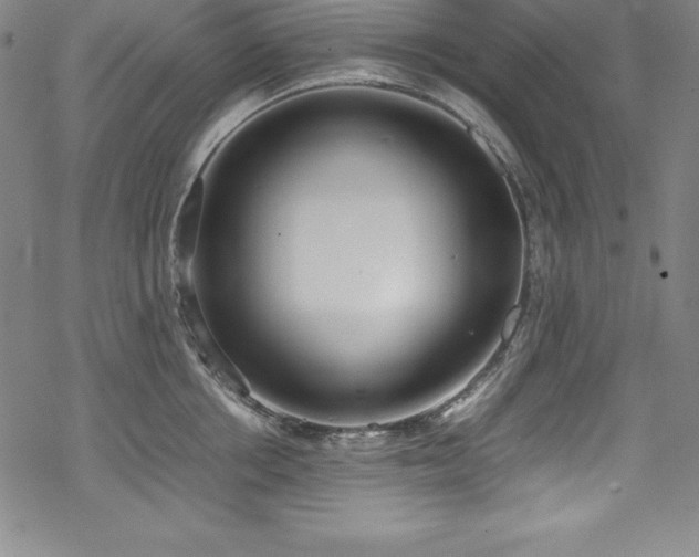 X0000069390858200605121209