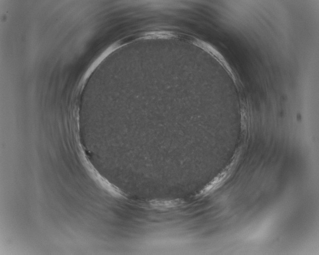 X0000069390859200605121209