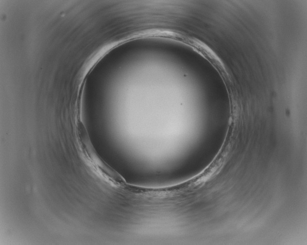 X0000069390860200605121209