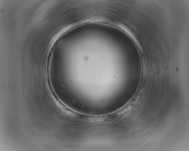 X0000069390861200605121209