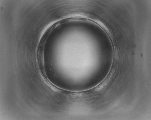 X0000069390862200605121209