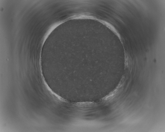 X0000069390863200605121209