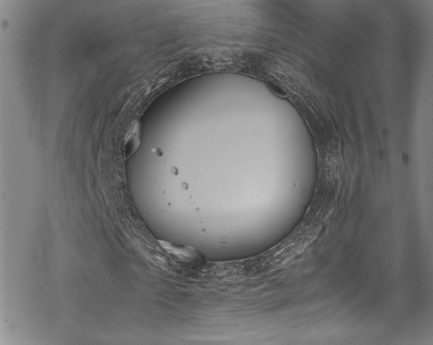 X0000069390865200605121209