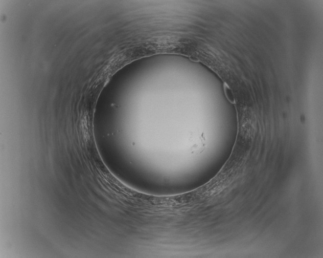 X0000069390866200605121209