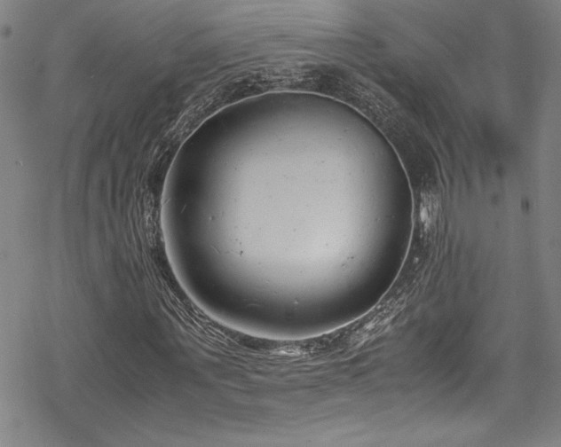 X0000069390867200605121208