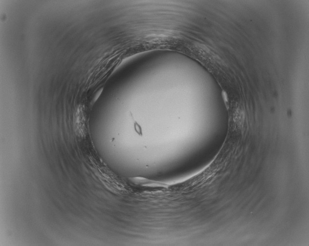 X0000069390868200605121208