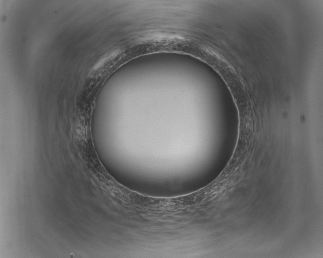 X0000069390869200605121208