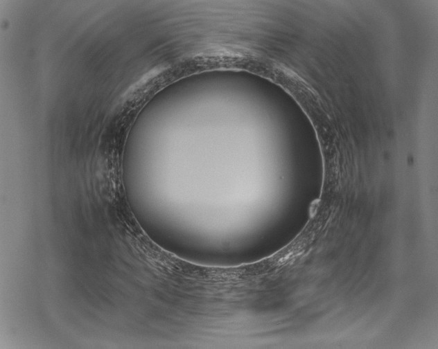 X0000069390870200605121208