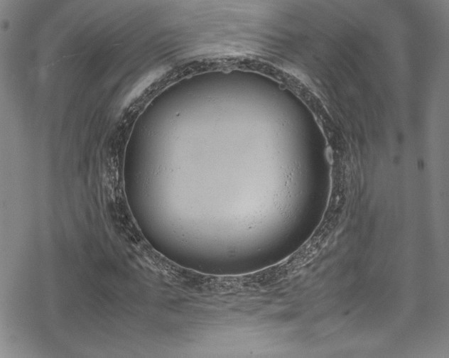 X0000069390871200605121208