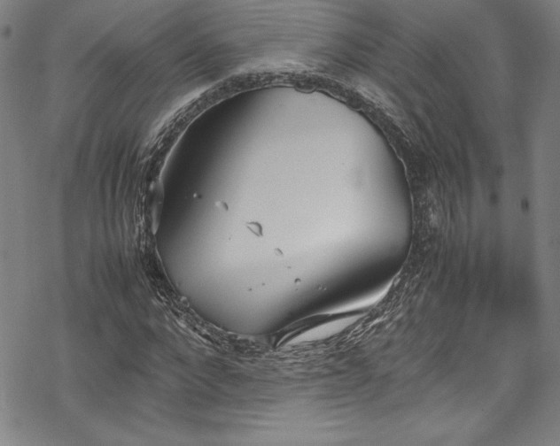 X0000069390872200605121208