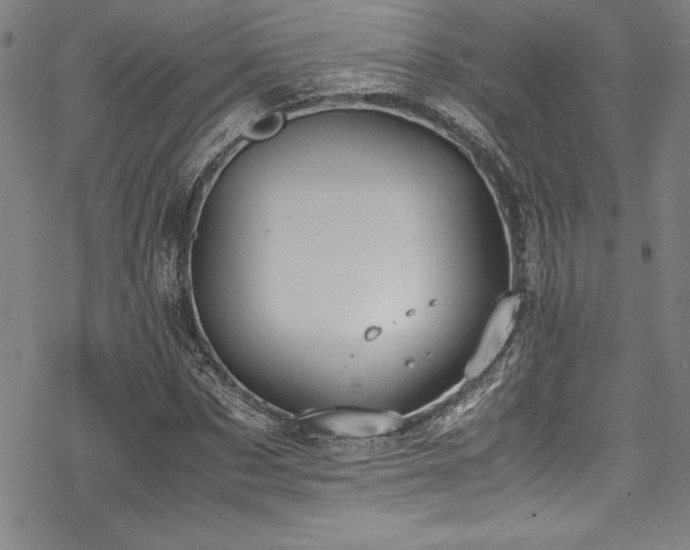 X0000069390873200605121208