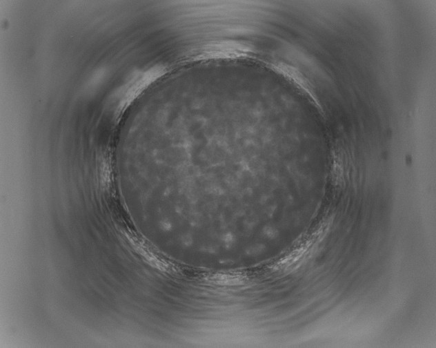 X0000069390874200605121208