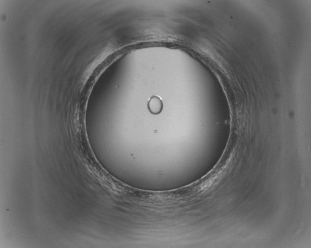 X0000069390875200605121208