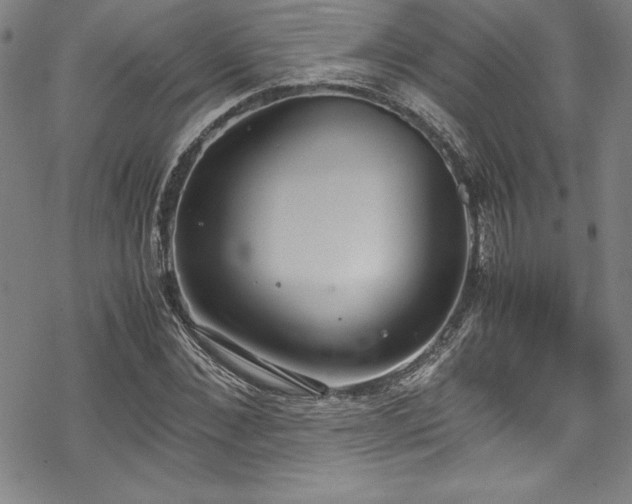 X0000069390876200605121208