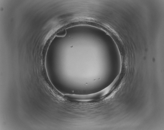 X0000069390877200605121208