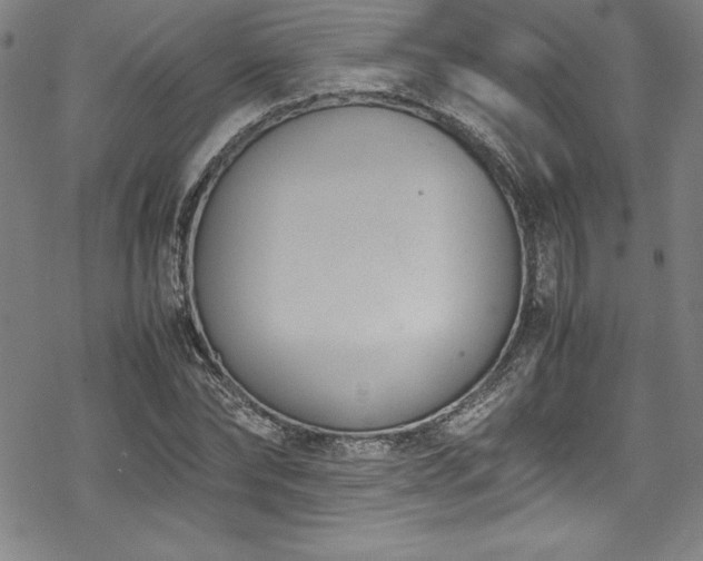 X0000069390878200605121208